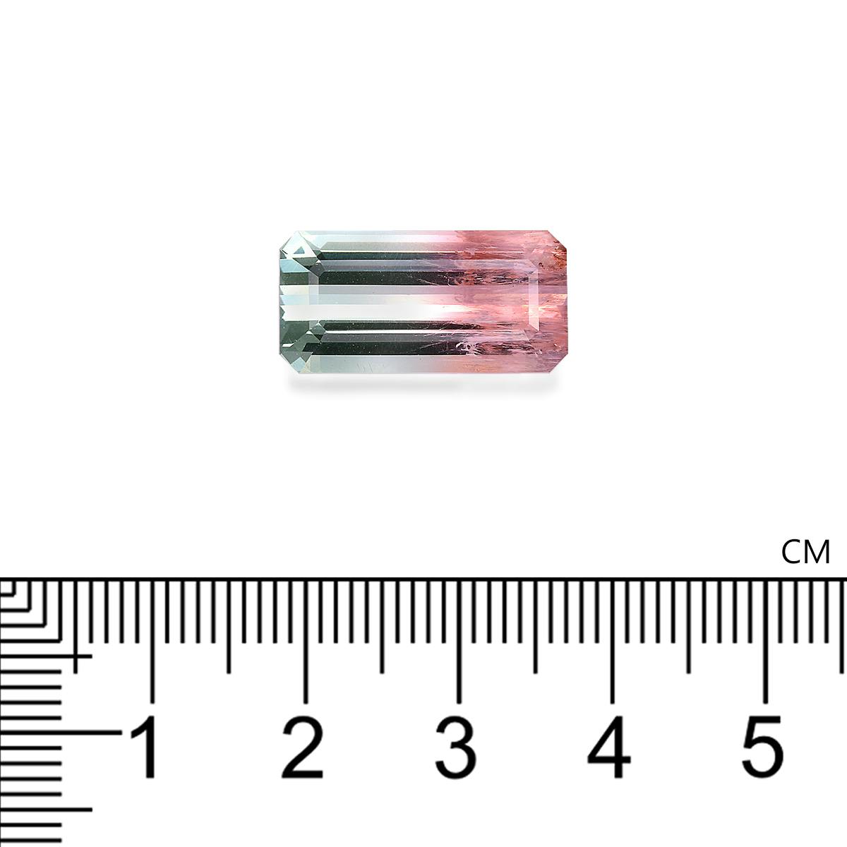 Bi Colour Tourmaline 9.65 ct